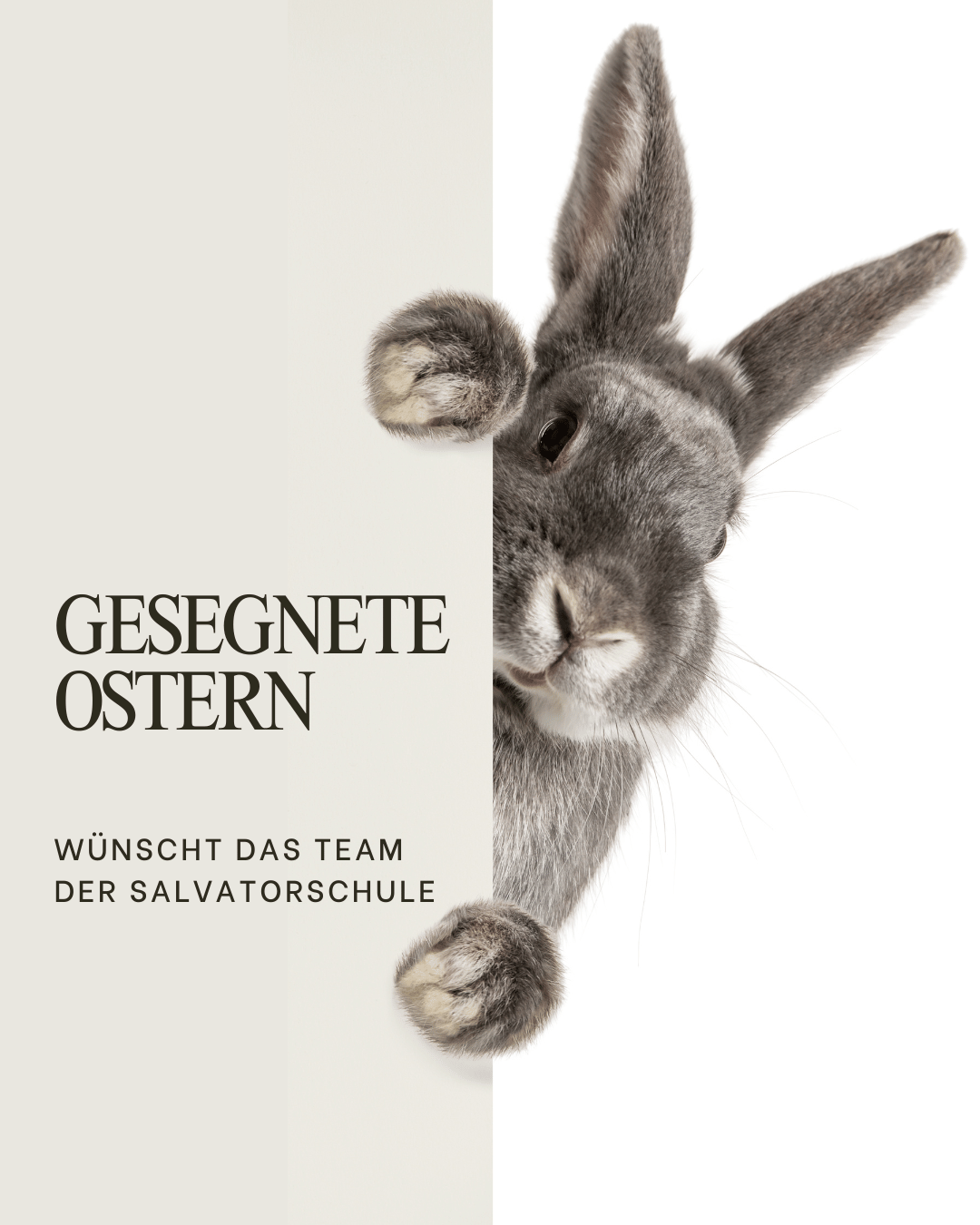 Grau Weiß Modern Einfach Elegant Osterhase Frohe Ostern Instagram Post