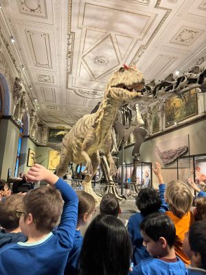 Naturhistorisches Museum 1