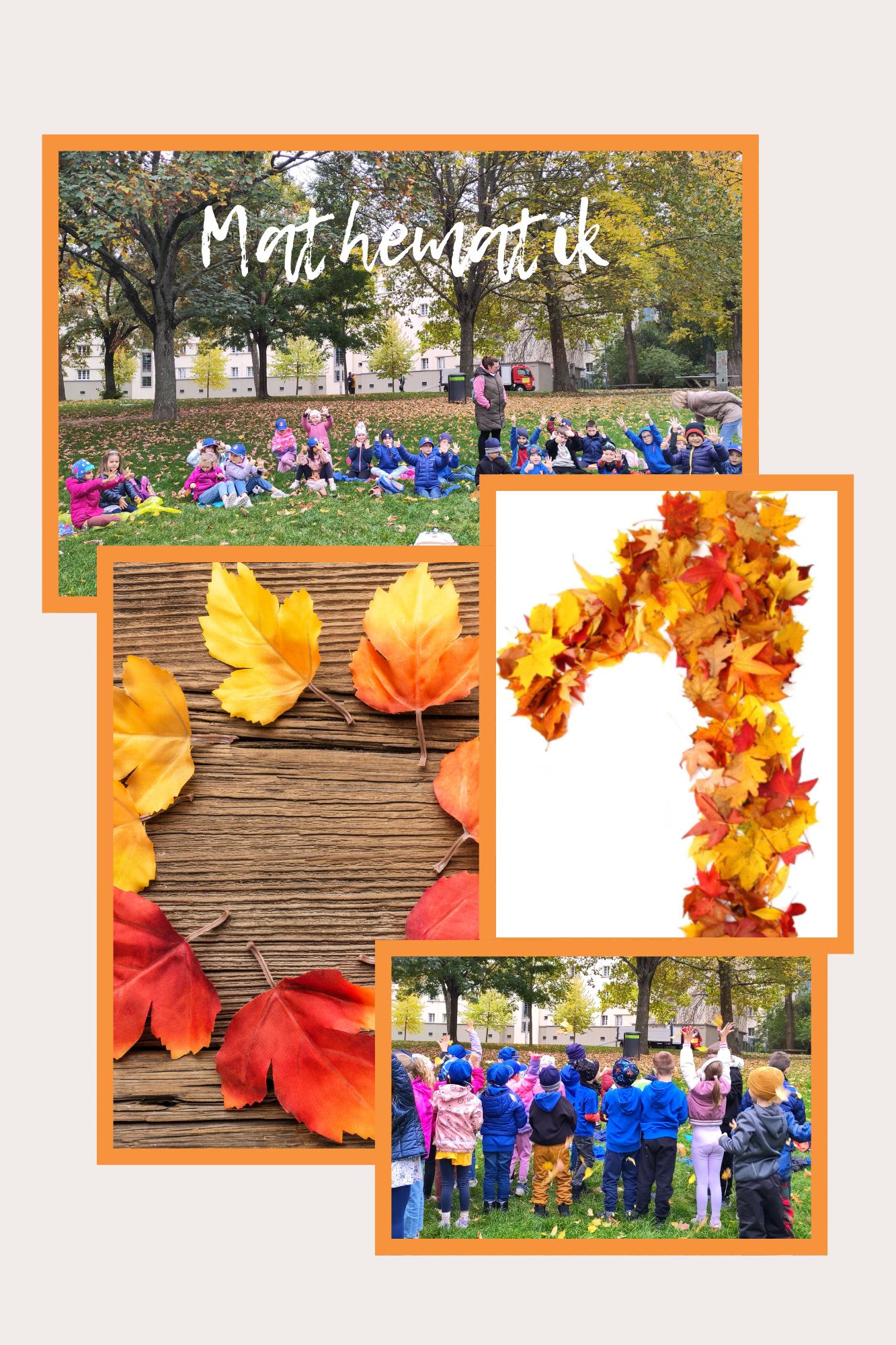 Mathematik in der Natur Klein